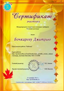 Бочкареву-Дмитрию